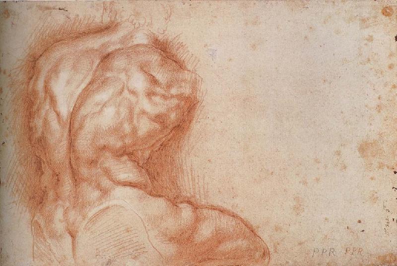 Peter Paul Rubens Facsimile form Torso belvedere France oil painting art